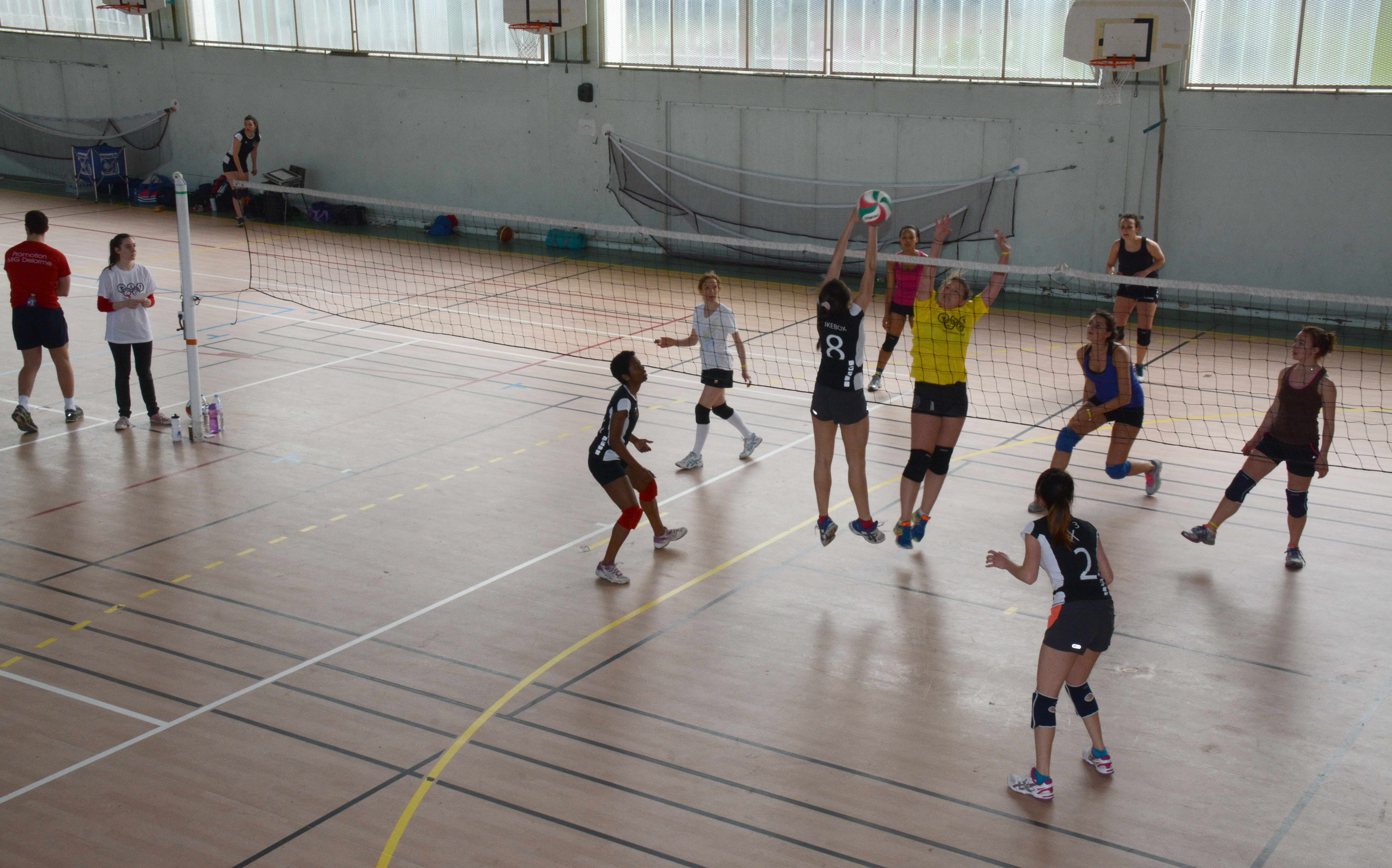 Volley